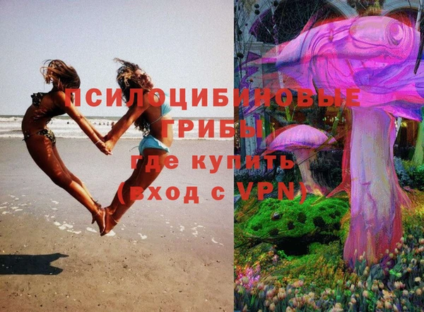 бошки Абаза