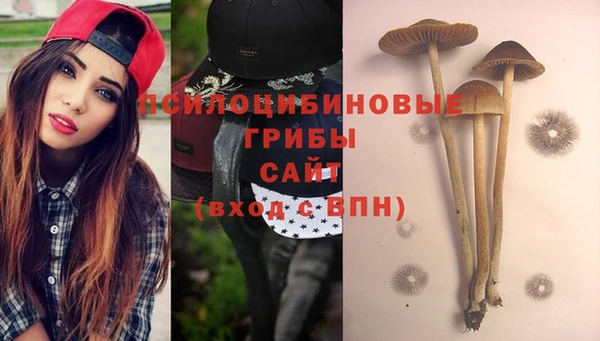 бошки Абаза