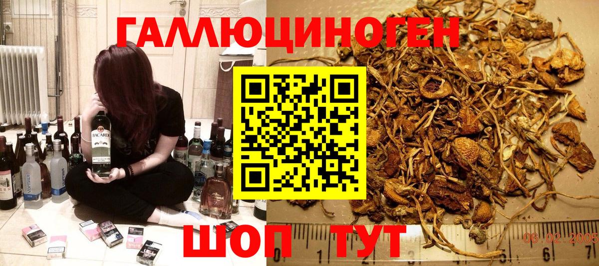 Кисловодск  Галлюциногенные грибы Psilocybe  Вход с VPN  Галлюциногенные грибы Magic Shrooms 